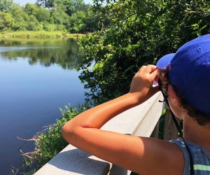 Quogue Wildlife Refuge: Get Up Close With Nature, Animals Bring your binoculars and spy some wildlife around the Quogue Wildlife Refuge pond.