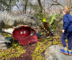 The Bronx Zoo's Dinosaur Safari presents prehistoric beasts in life-like scenes on a 1/4-mile walk-through trail. 