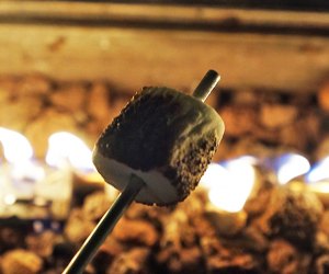 S'mores at the Bronx Zoo Holiday Lights