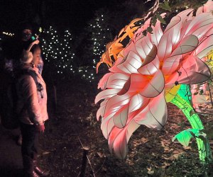 The Bronx Zoo Holiday Lights deliver an unexpected burst of brightness on the cold winter nights. Photo by Jody Mercier