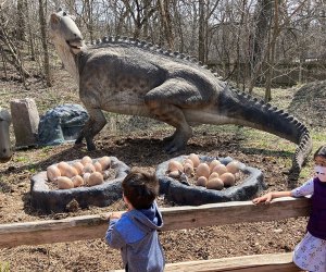 The Best Zoos and Aquariums for Chicago Kids: Brookfield Zoo