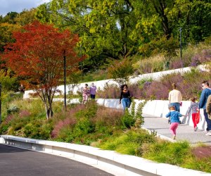 Preschooler activities in NYC: Brooklyn Botanic Garden