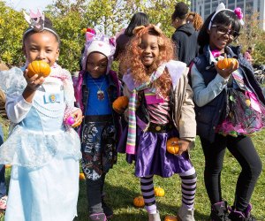 Join the Brooklyn Bridge Park Conservancy for its annual Harvest Festival. Photo by Etienne Frossard