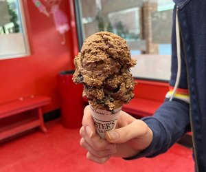 Bruster's Ice Cream Atlanta Restaurants Where Kids Eat Free