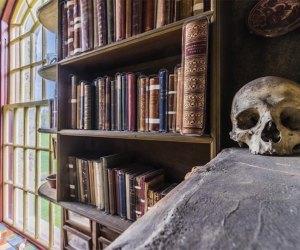 bookshelves and a skull on shelf