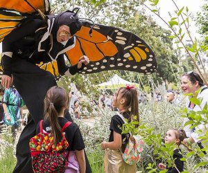 It's time for all things creepy and crawly at the Bug Fair. Photo courtesy of the Natural History Museum of Los Angeles County
