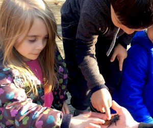 Go on a bug hunt at the Greenburgh Nature Center on Saturday. Photo courtesy of the center