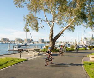 Biking in Burton Chace Park