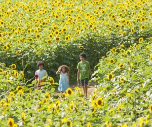 Buttonwood Farm Family Entertainment in Eastern Connecticut