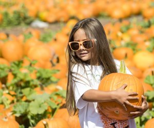 Pick a peck of pumpkins at the Annual Pumpkin Festival Cal Poly Pomona. Photo courtesy of the Cal Poly Pomona Facebook page