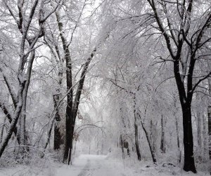 snow and cross country skiing at Caleb Smith State Park Preserve