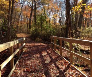 Caleb Smith State Park nature walks LI