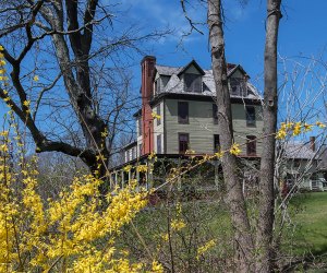 Caleb Smith State Park Preserve offers plenty of natural beauty plus a step back in Smithtown's history. 