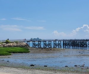 Calf Pasture Beach