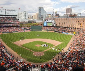 Things To Do in Baltimore: Camden Yards