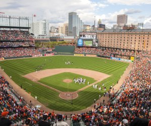 Watch the Baltimore Orioles play at Camden Yards. Photo courtesy the baseball team