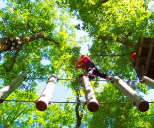 Camelback Mountain Adventures TreeTop Course. 