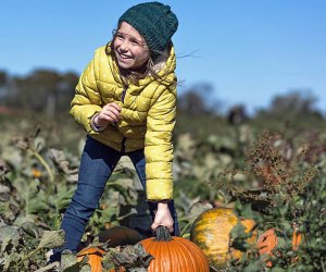 Harbes Family Farm offers tons of seasonal fun and plenty of pumpkins to pick. Photo courtesy of the farm