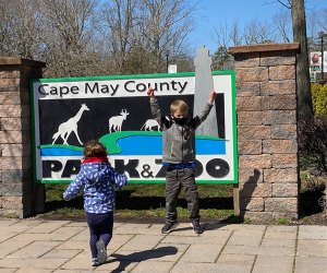 Visit the Cape May County Zoo for free this spring break in New Jersey