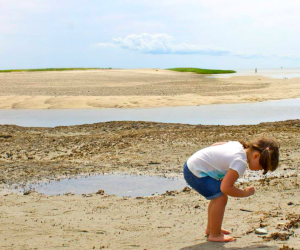 50 Fun Things To Do On Cape Cod With Kids This Summer Mommypoppins Things To Do With Kids