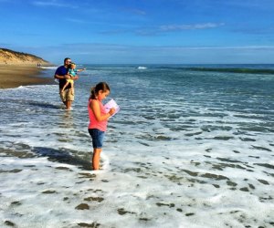  Cape Cod National Seashore