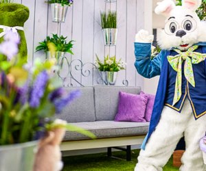 Meet the Caring Bunny for a special sensory friendly visit. Photo courtesy of the Shops at Mission Viejo