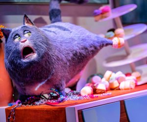 The all-new ride “The Secret Life of Pets: Off the Leash!”. Universal Studios Hollywood