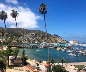 Road Trips from Los Angeles for Families: Catalina Island