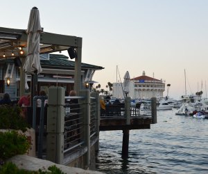 Best Things To Do with Kids on Catalina Island: Bluewater Avalon