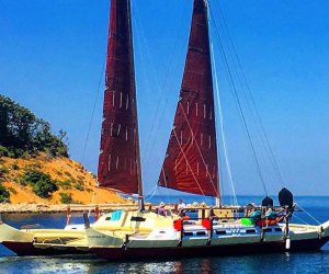 Things to Do in Montauk with Kids: Montauk Catamaran Company