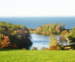 On a clear day, visitors to Caumsett State Park can glimpse across Long Island Sound to the Connecticut  coastline.