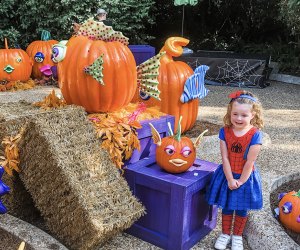 Starting on September 17, SeaWorld Orlando's Halloween Spooktacular will be entertaining kids until Halloween. Photo by author