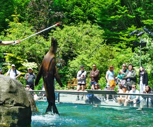 Picnic in Central Park: The Central Park Zoo