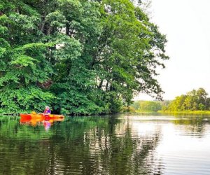 Photo of Kayak on Charles River - Best Parks and Playgrounds for Kids Birthdays