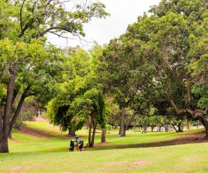 20 Things To Do in Echo Park with Kids: Chavez Ravine Arboretum