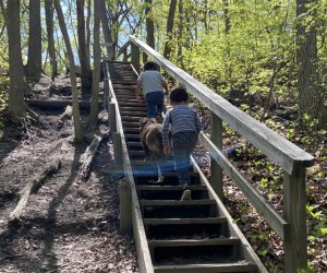 Kids hiking going up a set of stairs in the woods on a New Jersey summer day trip