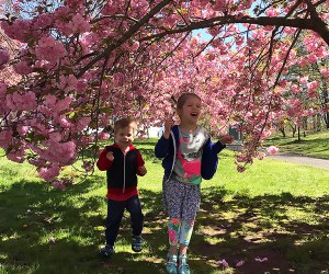 Two smiling kids playing among the cherry trees cherry blossoms at Branch Brook Park