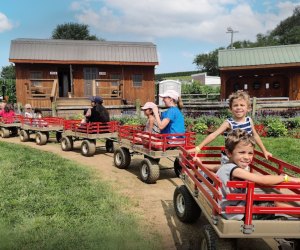 Fall Day Trips Near Washington, DC for Families A visit to Cherry Crest Adventure Farm. Photo courtesy of Luis Roa