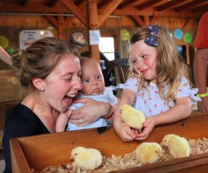 Kids can hang with the barnyard animals at Cherry Crest Adventure Farm. Photo courtesy the farm