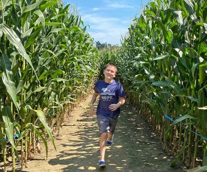 Fun Corn Mazes near Philly--Plus a Few Hay Mazes! Cherry Crest Adventure Farm's corn maze in Ronks was voted tops in the nation. Photo by Kristen Sullivan