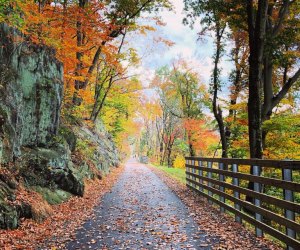 Enjoy the easy walking paths and the beautiful foliage along the Chester Creek Trail. Photo courtesy of the Chester Creek Trail