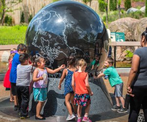 Lincoln Park Zoo photo by Dice Sales courtesy of the Illinois Tourism Bureau