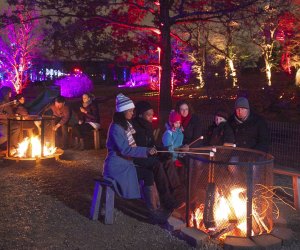 Illumination: Tree Lights at the Morton Arboretum. Photo courtesy of the event.