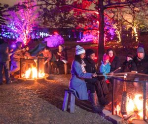 Walk amid thousands of outdoor lights at Illumination: Tree Lights at Morton Arboretum. Photo courtesy of the event