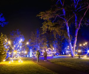 Illumination: Tree Lights photo courtesy of the Morton Arboretum