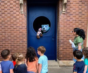 Best Ice Cream Near Chicago: 14 Ice Cream Parlors and Ice Cream Shops Kids Adore Sugar Hole Irving Park
