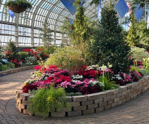 Photo courtesy of the Garfield Park Conservatory