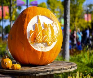 Fall Fest photo courtesy of the Lincoln Park Zoo 