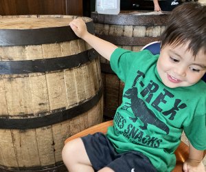 Best Kid-Friendly Beer Gardens and Breweries in Chicago: Old Irving Brewing Co.