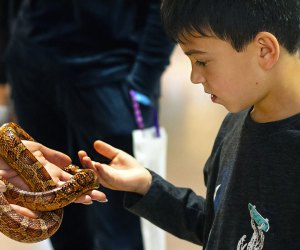 BOO-seum Bash event. Photo courtesy of the Peggy Notebaert Nature Museum